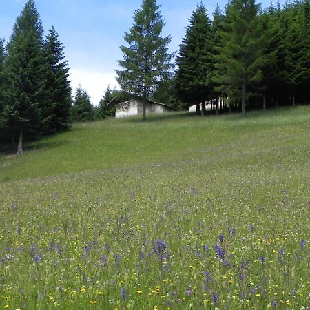 Hotel Isolabella Wellness Fiera Di Primiero Exteriér fotografie